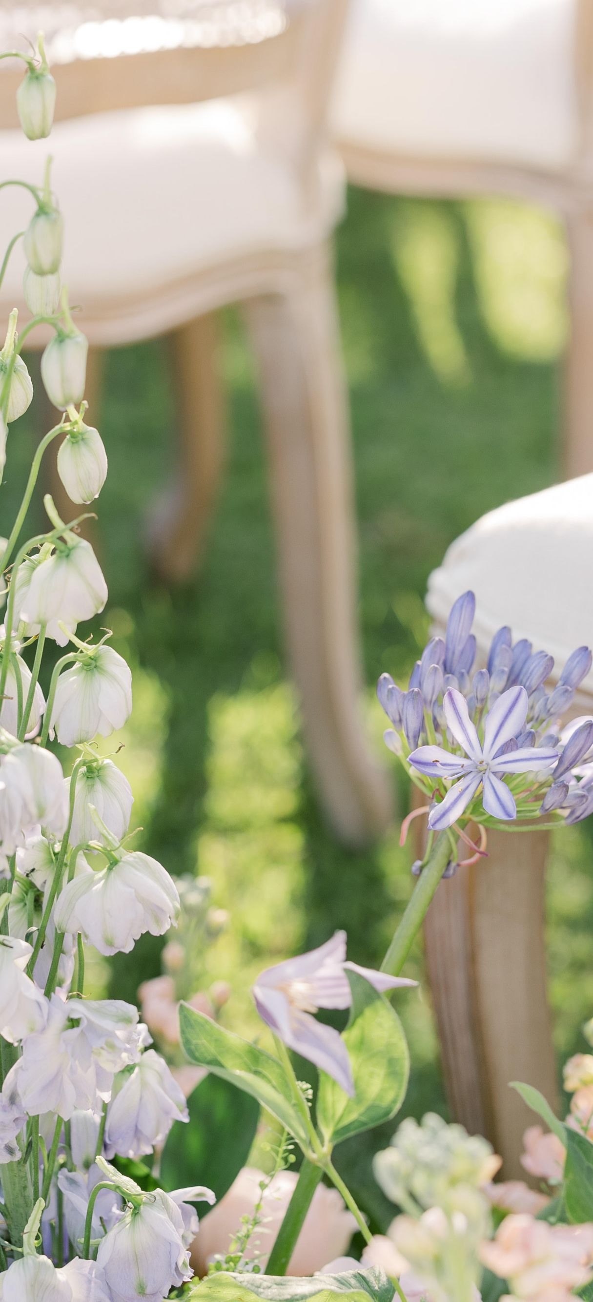 Outdoor wedding chairs and flowers