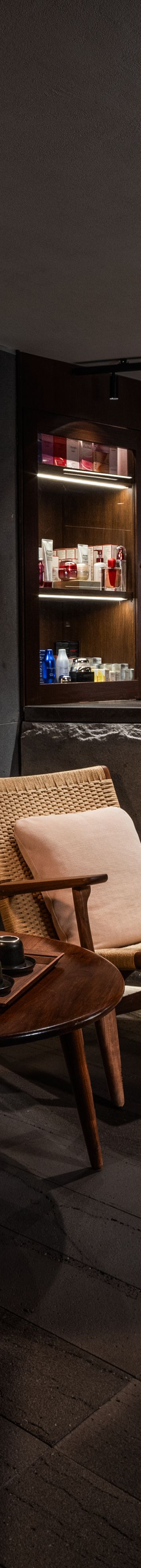 Shiseido spa recepti12459