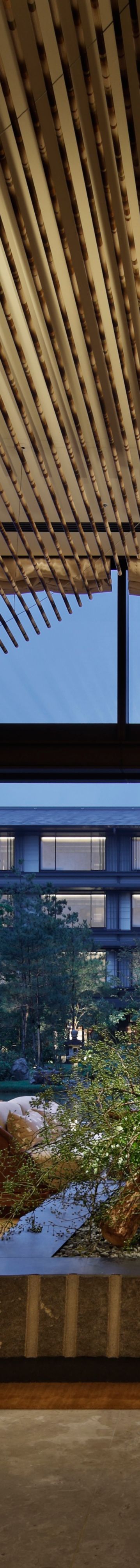 Lounge and Garden 26921