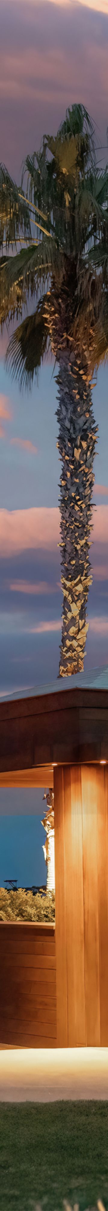 Private dinner 39174