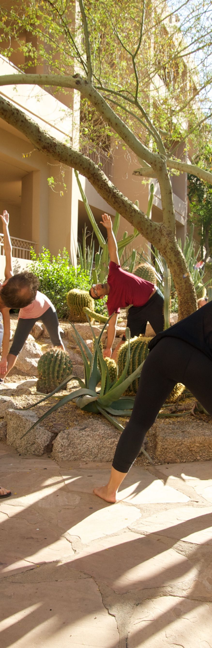 Cactus uses immersive lighting gym installations to boost workout