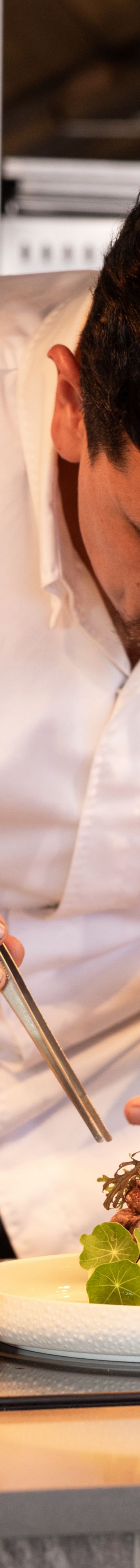 Solaz Lifestyle-039 09378