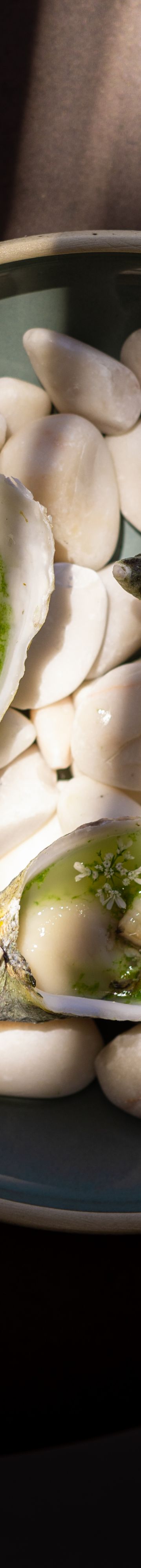 Solaz Lifestyle-154 34309