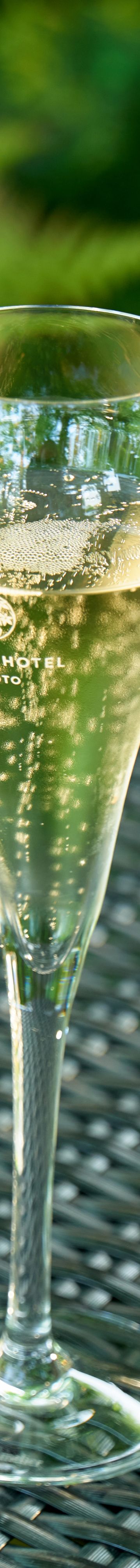 arashiyama delight 23197