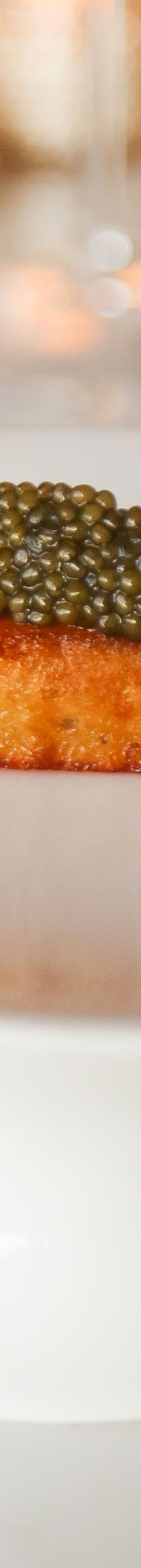 XSCLC_Brine Crispy C16600