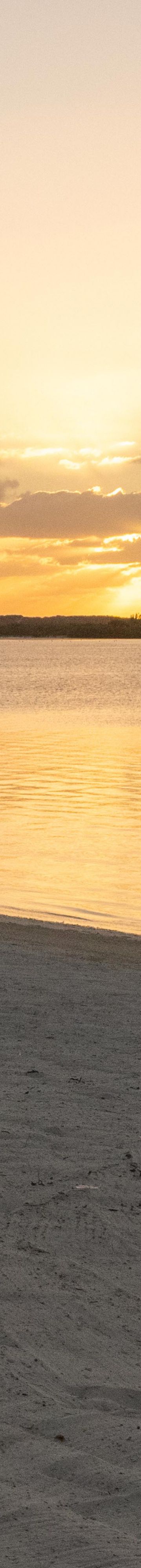 XSCLC_Salterra Beac 14432