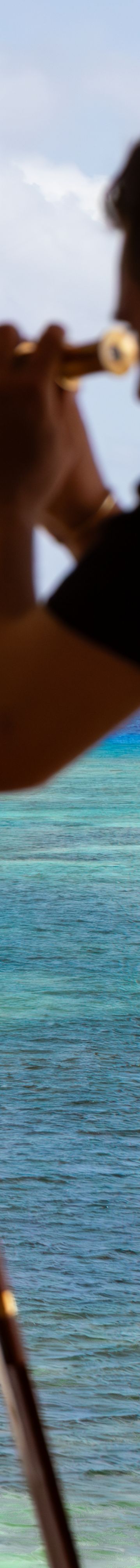 Salterra Telescope 25425