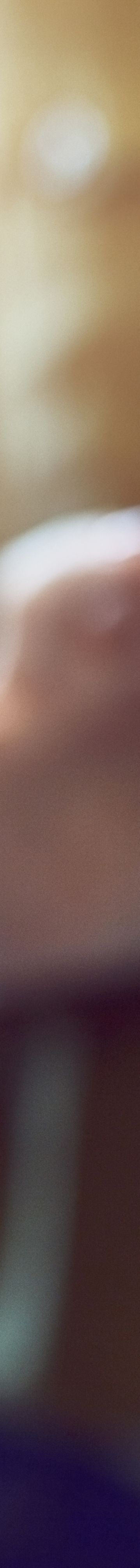 basciwte-premium-stl