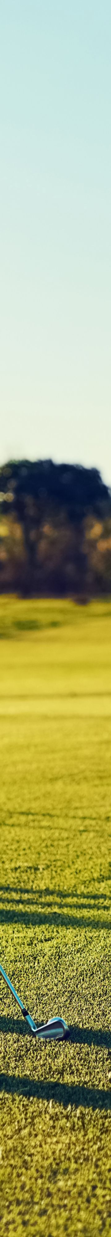 basicwte-premium-golf1