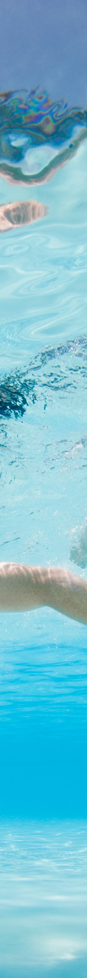 basicwte-premium-pool3