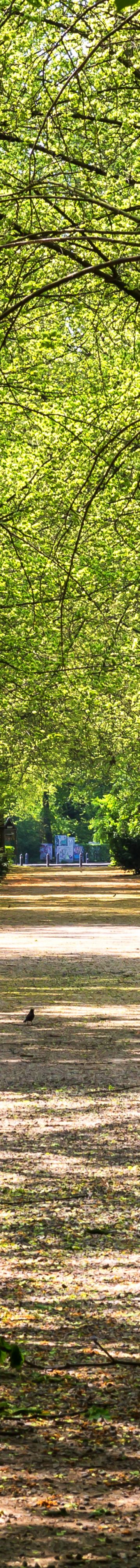 GettyImages-1166865714