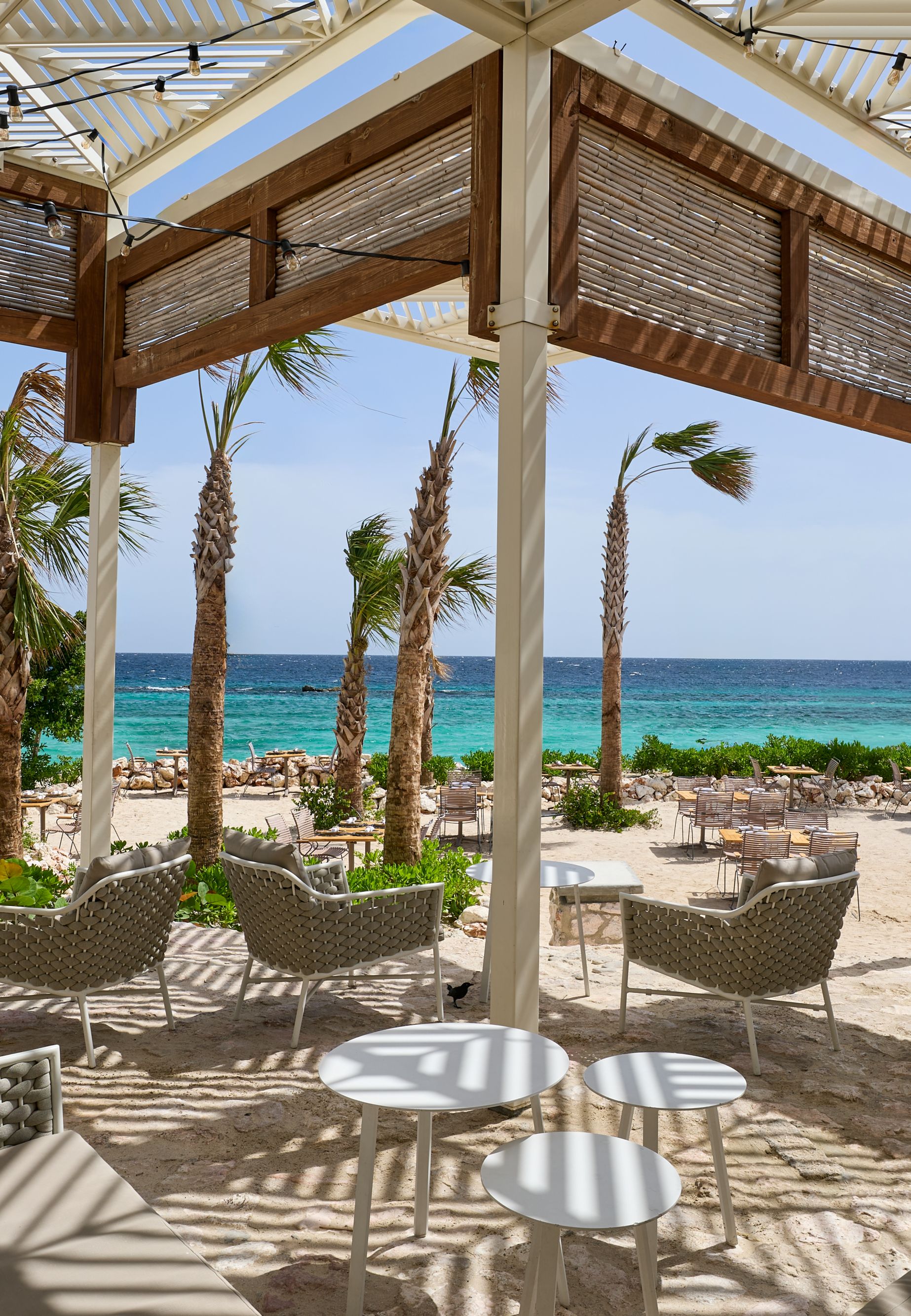 Salty_Day_Time_CURPB39523