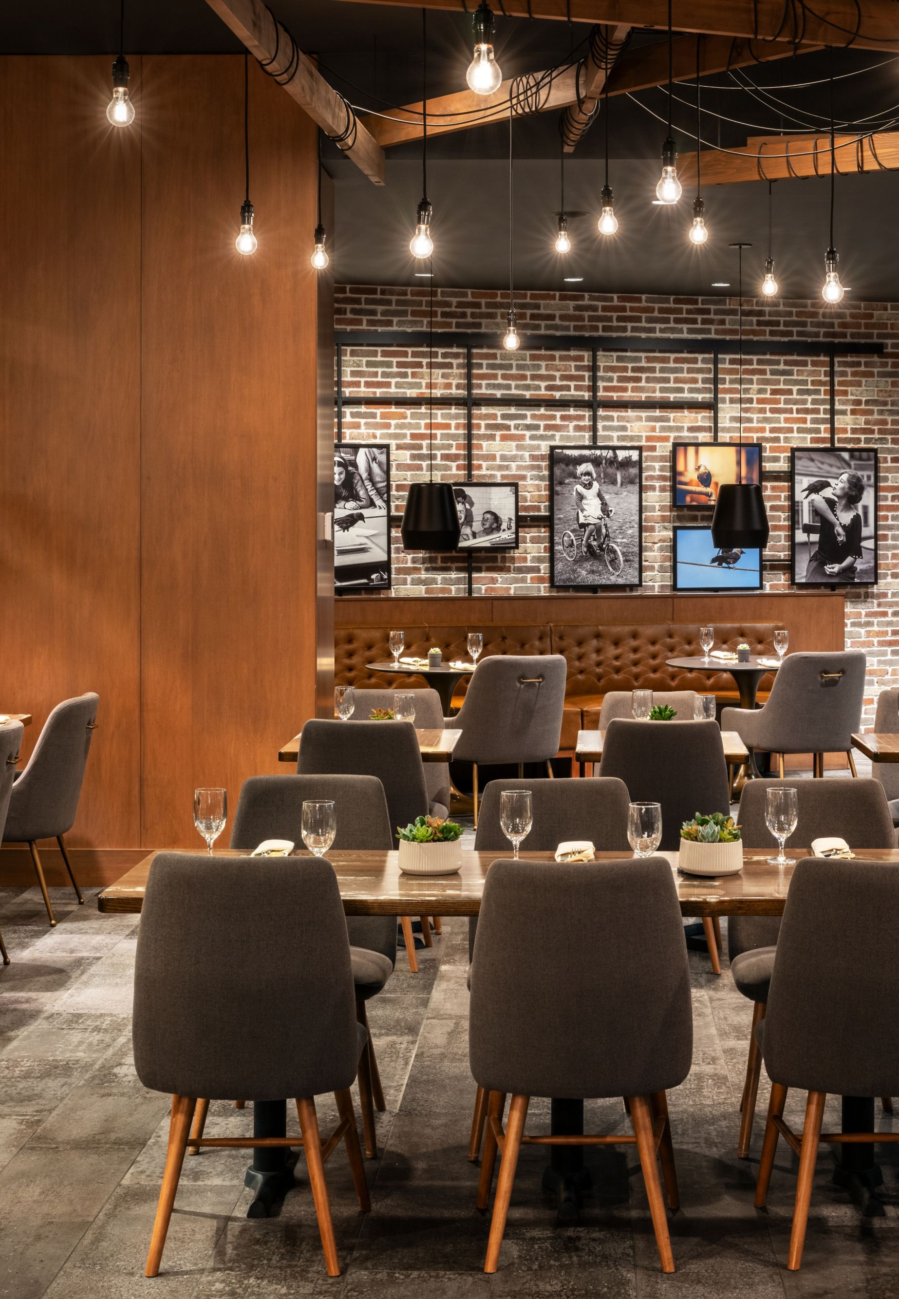 dfwmc-jackdaw-98547 44259