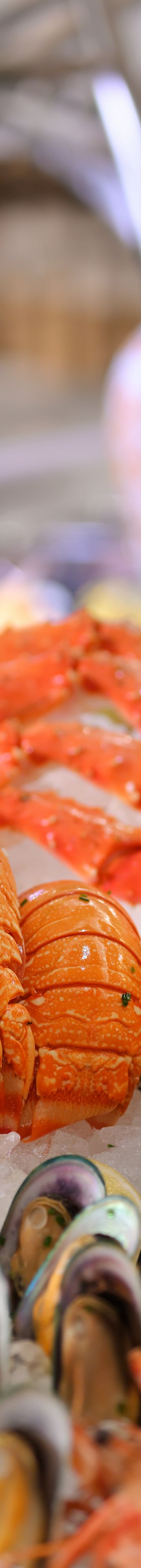 Marriott Resort Pal 26180