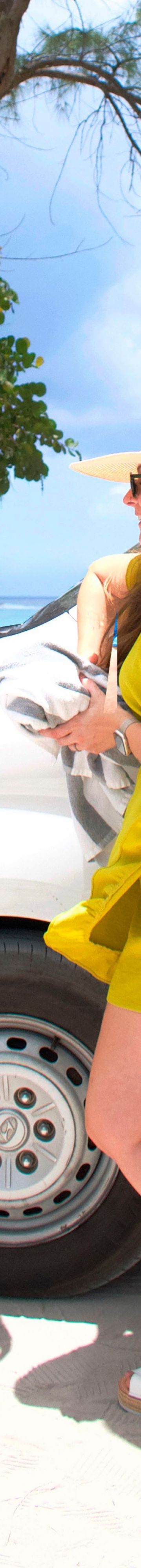 Courtesy Beach Shutt16840