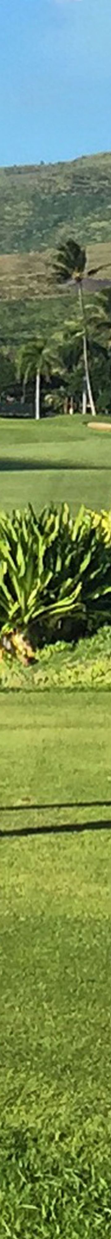 Hawaii Tee Times 11410