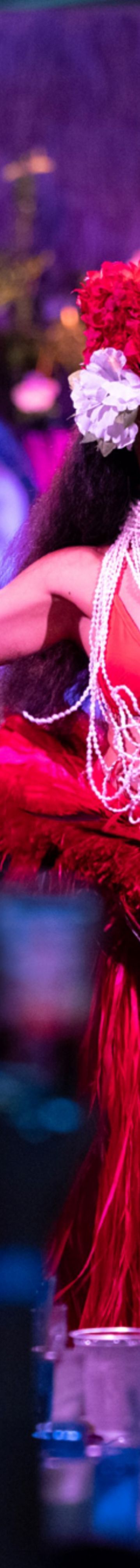 Paina Waikiki Luau Dancer