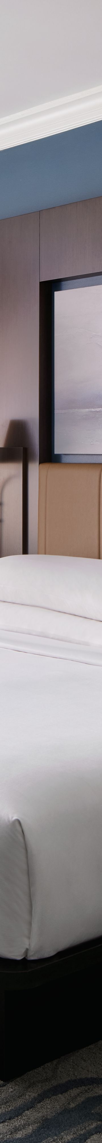 Deluxe King Room 20338