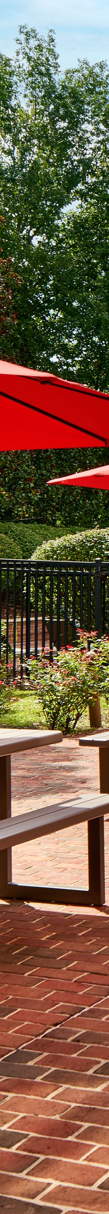 Pool Garden Terrace 26174