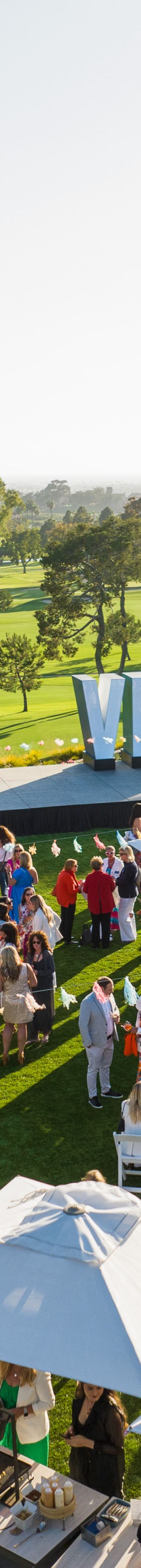 VEA Summer Solstice 27838