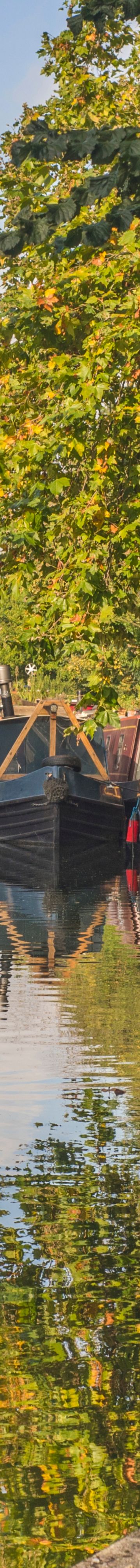 Regents Canal 26017