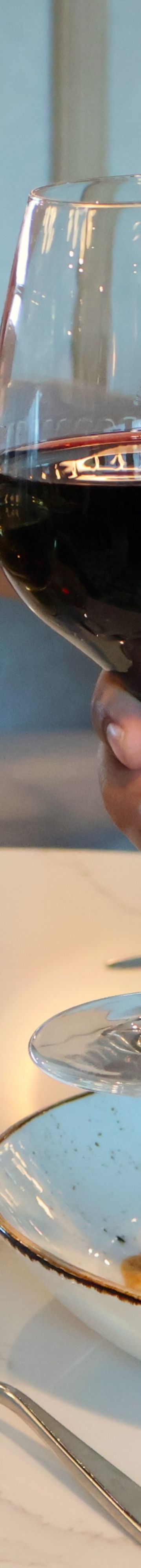 Wine toasting -24235