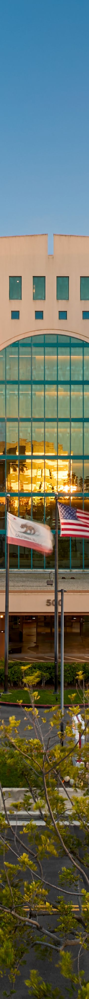 NPBST_Entrance 45337