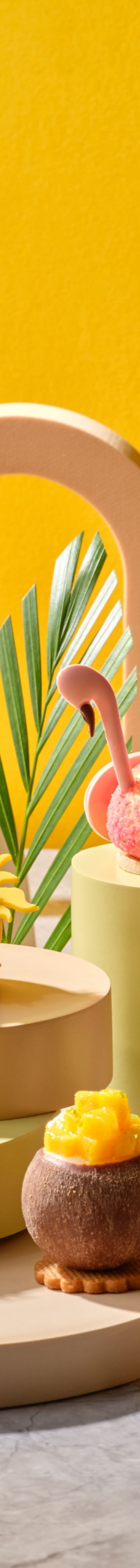 LL Q1 2026 Afternoon13772