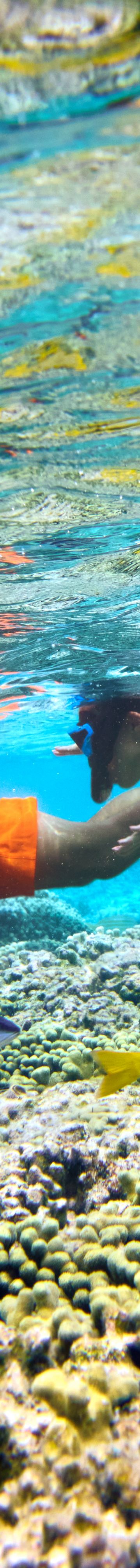 snorkelling-exp-36758