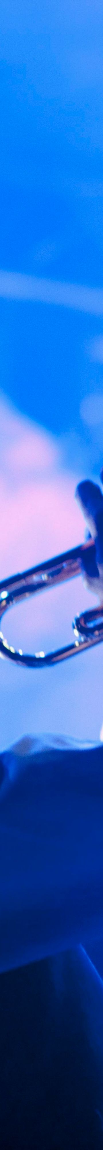 Music and Entertainment