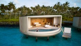 One-Bedroom Ocean Pool Villa