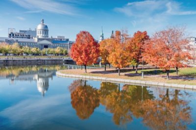 Autumn leaves in Montreal