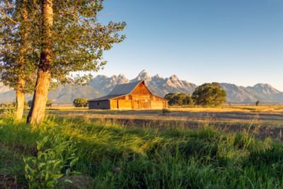 A farmhouse in direct sunlight