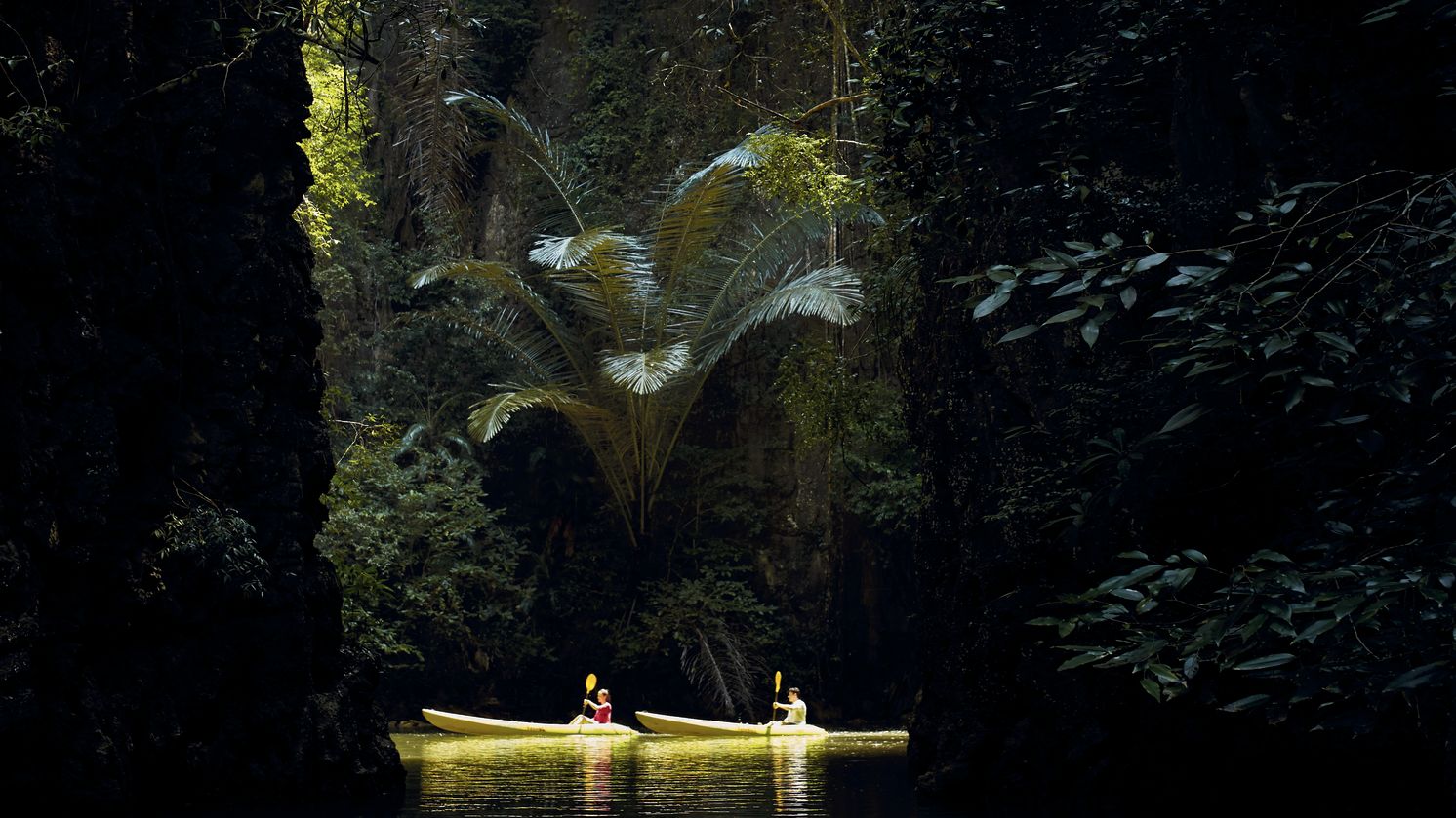 Couple in a yellow kayak as they glad through dark jungle waters