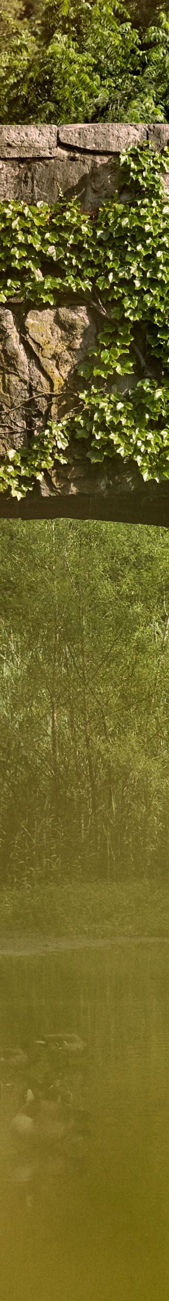 Service Moment - Flower Arrangement in Central Park