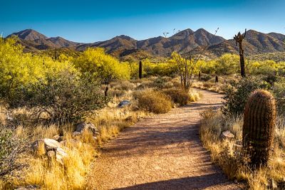 Hiking through the desert