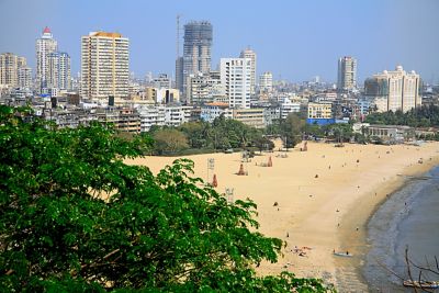 Aerial view of a beach during the day 
