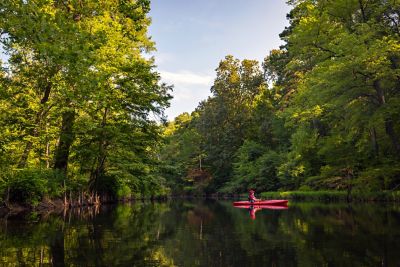 Kayaking down the river