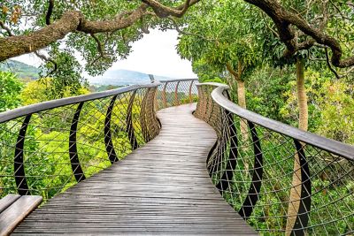 Pathway in Kirstenbosch Botanical Garden