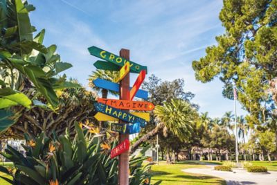 Palm tree filled park with colorful signs pointing in different directions