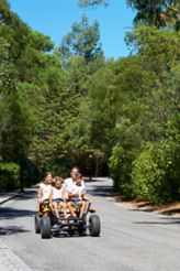 Three kids and an adult drive a buggy down a paved road overlooked by trees