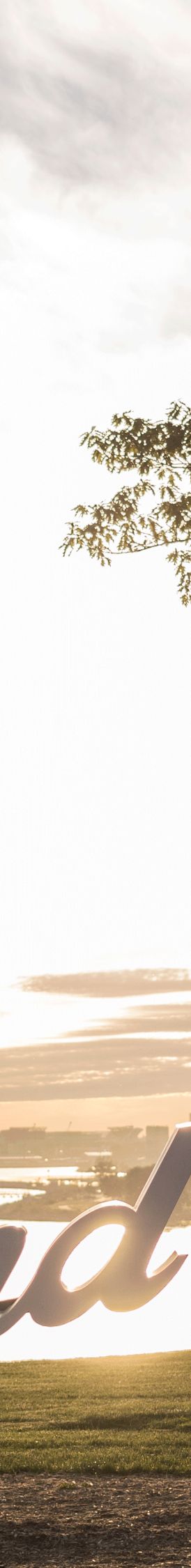 Ritz Carlton Hotel image