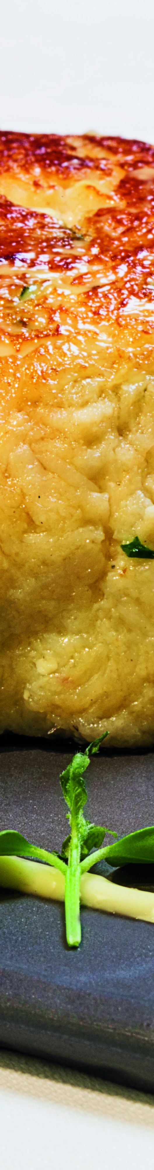 Crab cake artfully presented with a dash of lemon aioli and a dollop of tomato fondue
