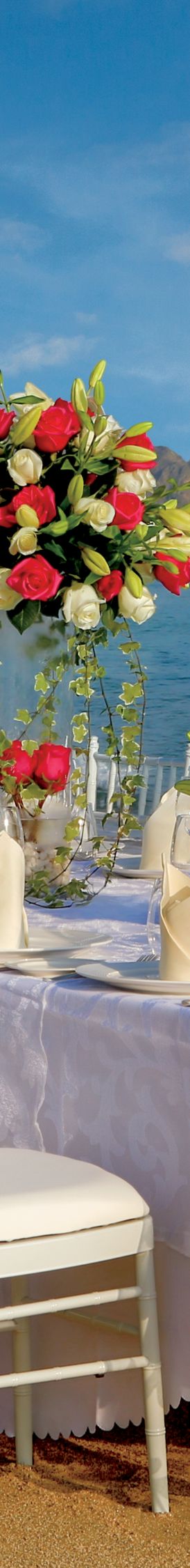 Ritz Carlton Hotel image