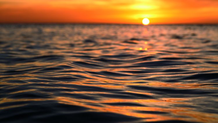 A setting sun casts a glow over an ocean?s rippling waves