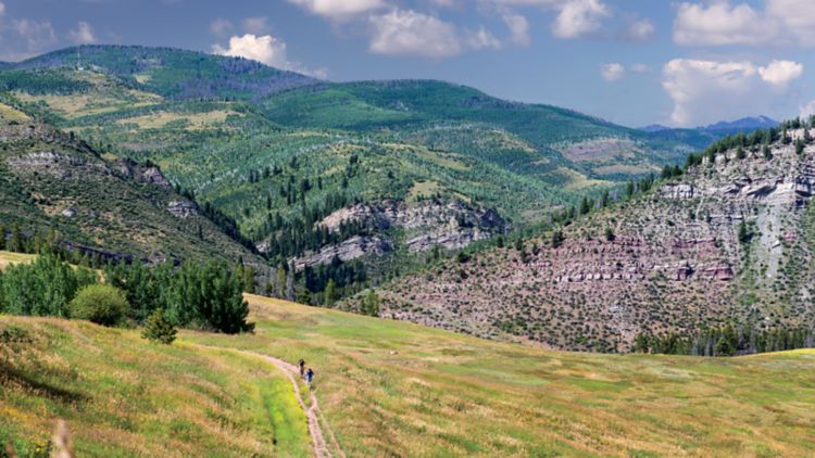 A hiking trail cuts through a mountain field