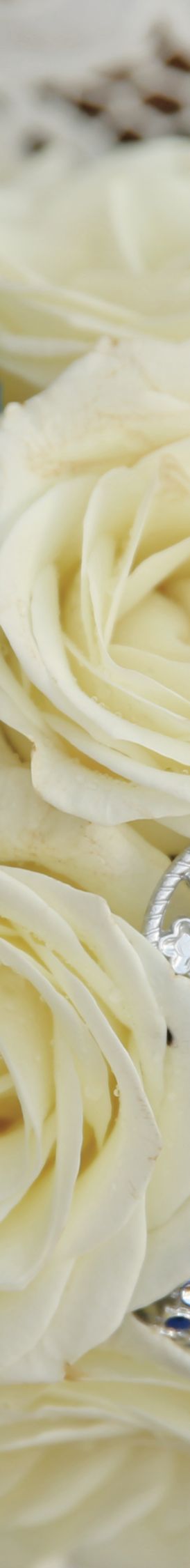 Bride holds a tightly gathered bouquet of white roses and sparkly accents in clear and blue crystal
