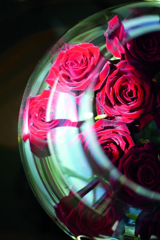 A glass round vase full of roses.