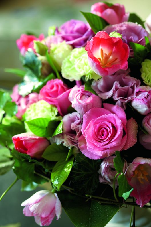Bouquet of flowers in pink and red.