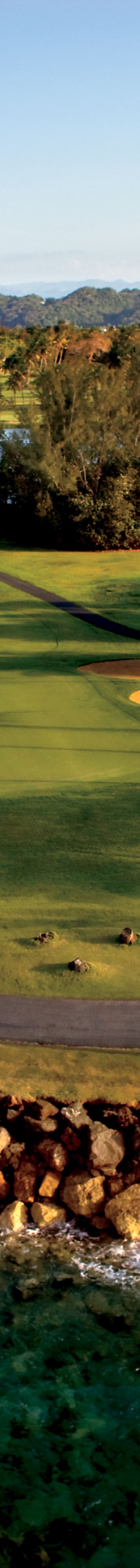 rcdorad_00259_conversion